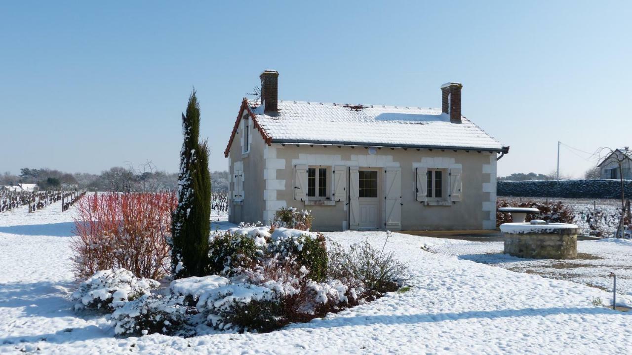 Villa L'Ecrin Au Coeur Des Vignes Saint-Georges-sur-Cher Exterior foto